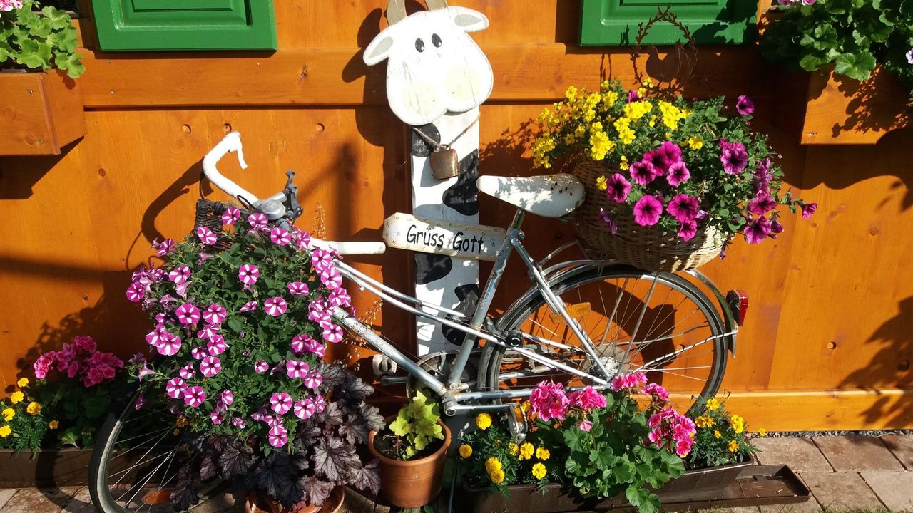 Blumengrüße Blumengrüße